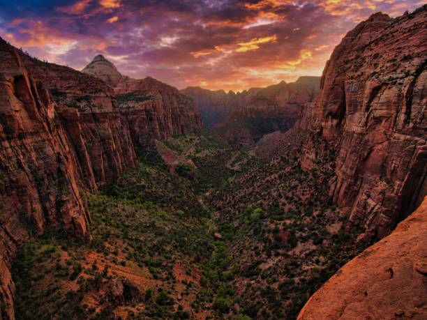 istock Top view of Zion at sunset 1456126582