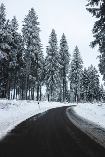 istock Driving trough the snowy forest. 1456127231