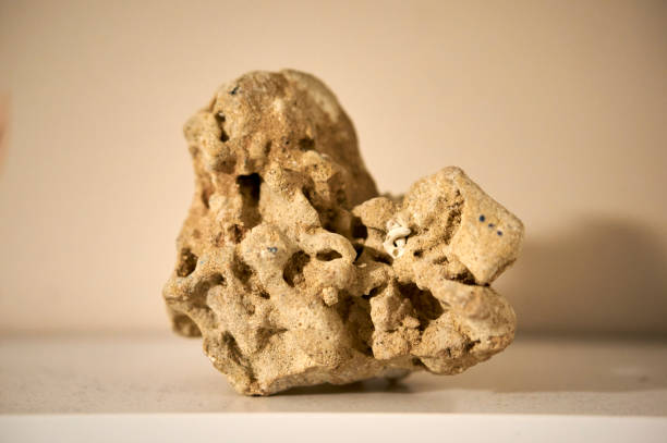 istock Natural stone from the seaside with small holes 1456127380
