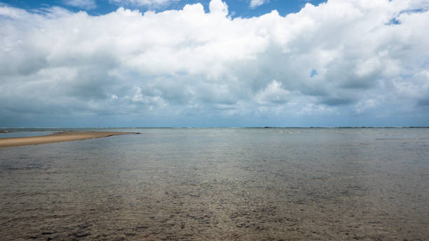 istock Beautiful shot of a sandy beach 1456127804