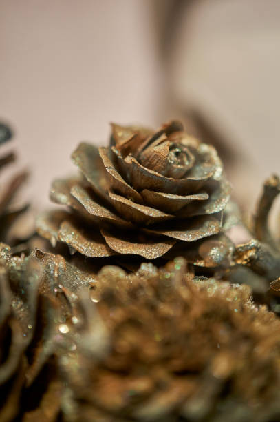 istock Vertical close-up shot of a decorational pine cone in the blurry background. 1456128242