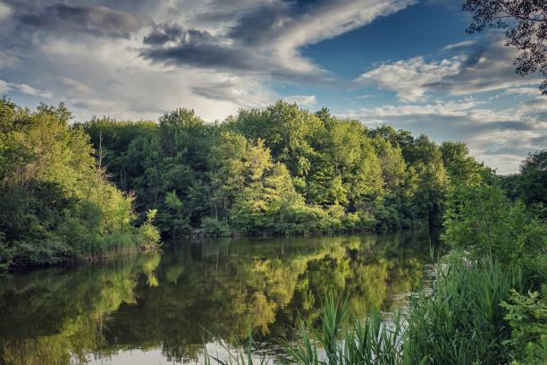 istock Beautiful view of a lake surrounded by trees 1456128311