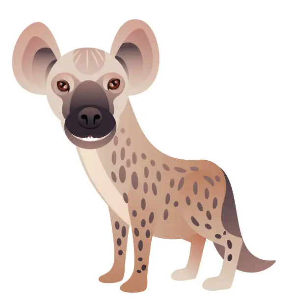 Vector illustration of Hyenas