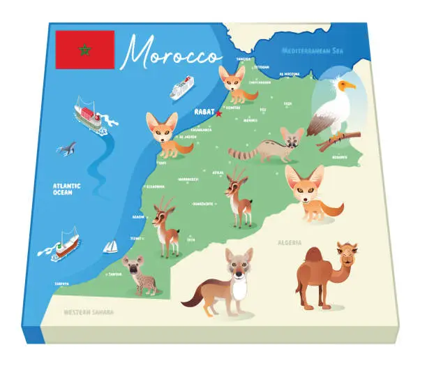 Vector illustration of Morocco Animals Map