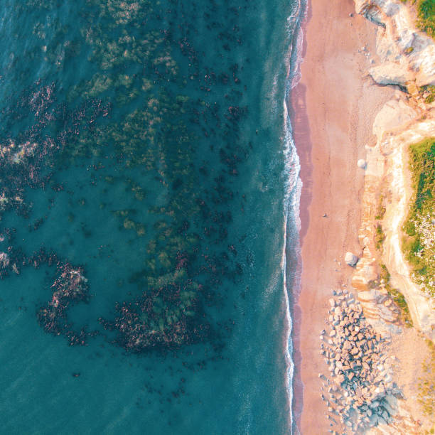 istock Aerial drone view to the ocean coast 1456130262