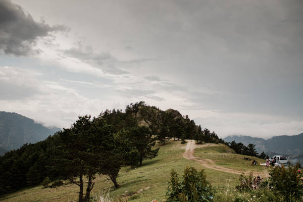 istock Beautiful view of a mountain with forest 1456130825