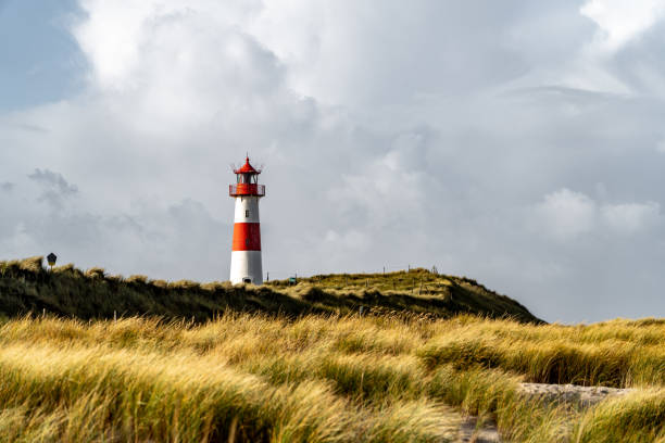 istock Closeup of a lighthouse in a field 1456130945