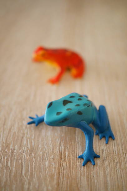 istock Plastic toy frog on a wooden table 1456132423