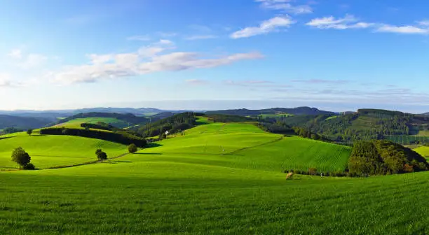 An aerial shot of a beautiful forest in Sauerland, Germany