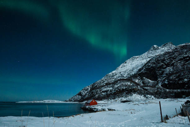 istock Aurora Borealis in Arctic Norway 1456133699