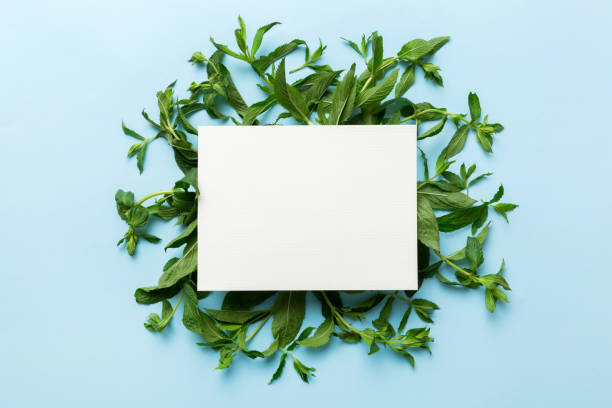 istock Wreath frame made of empty paper blank with space for text and mint leaves on colored background. . Mint Pattern. Flat lay. Top view 1456135286