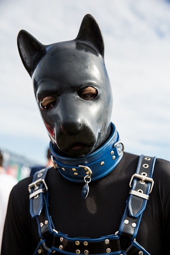 Newcastle upon Tyne, United Kingdom – July 16, 2016: A vertical shot of a person in a leather costume with a dog mask and a blue collar in gay pride