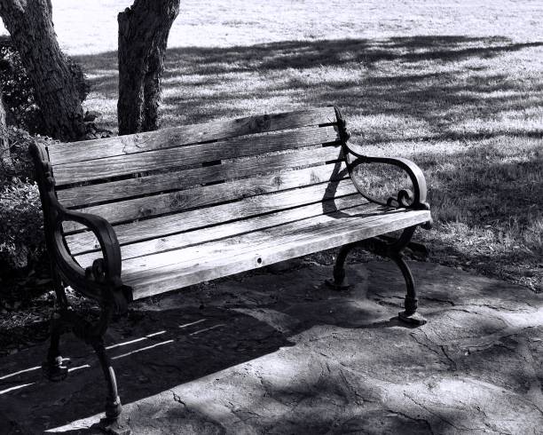 A grayscale of an empty wooden bench in a park