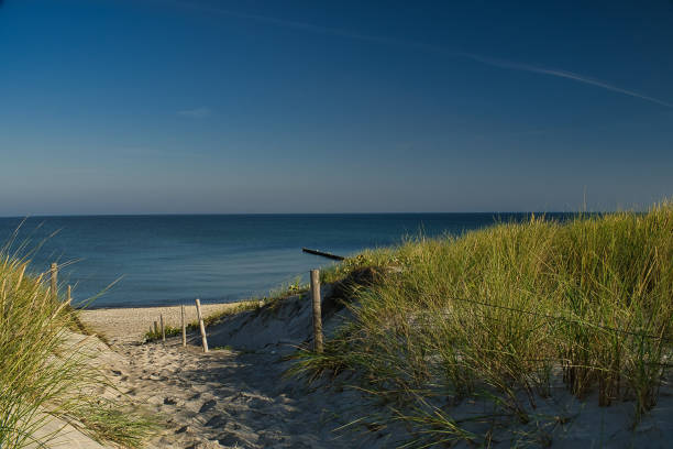 istock Beach surrounded by the sea under the sunlight and a blue sky 1456140303