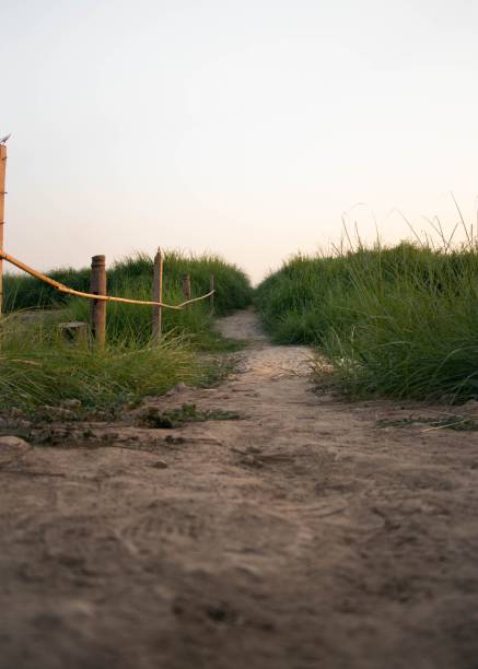 istock Vertical shot of a walkway 1456141071