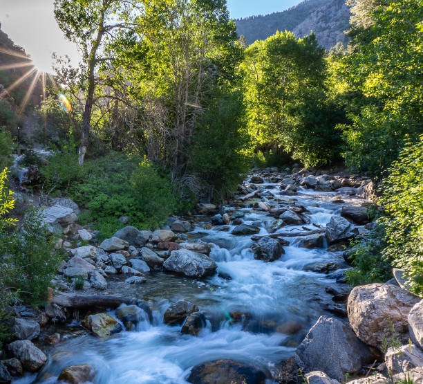 istock Beautiful flowing river with stones in a park 1456141106