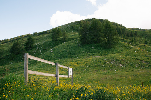 Summer view of a green mountain from the top of the slopes of Monesi in Italy