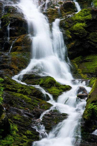 istock Beautiful waterfall in mossy rocks 1456141164