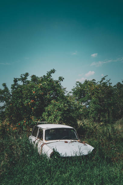 istock Old car in the grown grass in a garden 1456141352