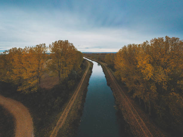 A beautiful landscape of a river surrounded by lush vegetation