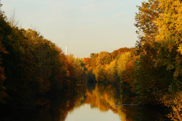 Autumn foliage colouring on the banks of the Nidda river in Frankfurt, Germany. Beautiful colours and reflection in the evening.