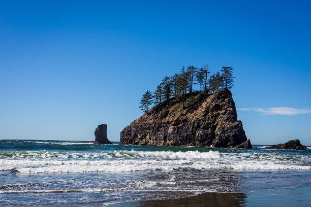 istock Olympic National Park, Second Beach La USA 1456143750