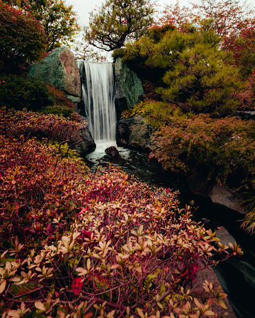 A vertical shot of a beautiful autumn landscape in St. Louis botanical gardens