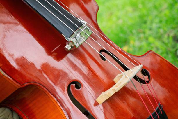 wooden corpus of a chello with strings and the f holes - chello imagens e fotografias de stock