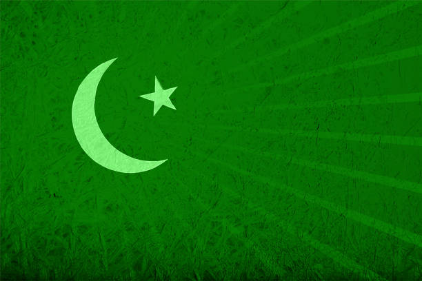 ilustrações de stock, clip art, desenhos animados e ícones de textured effect grungy green grunge vector background with a star and a moon making pakistan national flag backdrop with subtle sunburst as watermark - bandeira do paquistão