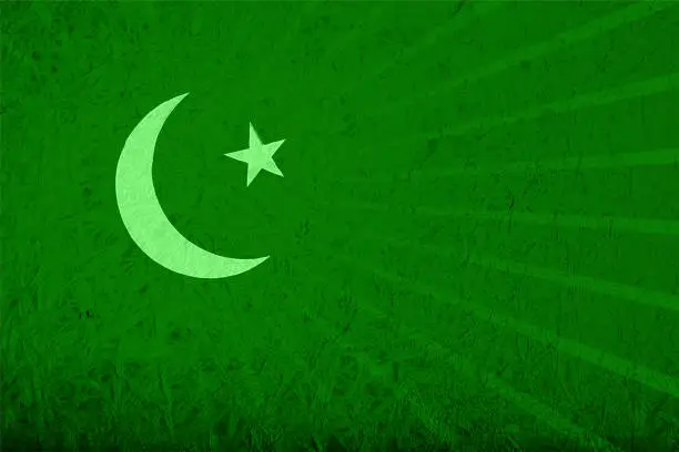 Vector illustration of Textured effect grungy green grunge vector background with a star and a moon making Pakistan national flag backdrop with subtle sunburst as watermark