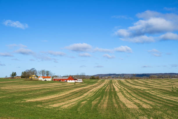 istock Landscape view with farm buildings on a field 1456146074