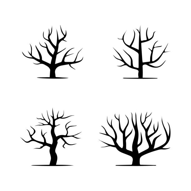 ilustraciones, imágenes clip art, dibujos animados e iconos de stock de conjunto abstracto de siluetas de árboles desnudos - bare tree nature backgrounds tree trunk branch