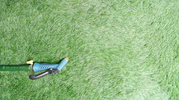 istock Green garden hose on grass with copy space 1456148877