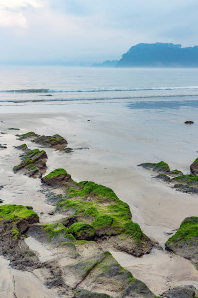 日没時の霧のビーチの岩の上の苔 - zen like sea horizon over water blurred motion ストックフォトと画像