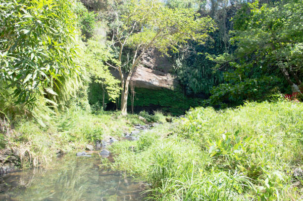 istock Cascade stream with some green trees and grass growing on the both sides 1456150873