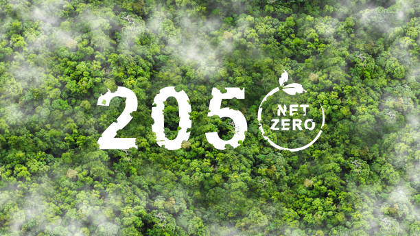 istock Net zero by 2050. Carbon neutral. Net zero greenhouse gas emissions target. Climate neutral long term strategy. No toxic gases.Top view 1456150875