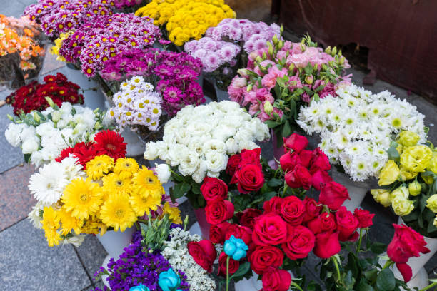straßenblumenverkäufer - rose flower shop variation color image stock-fotos und bilder