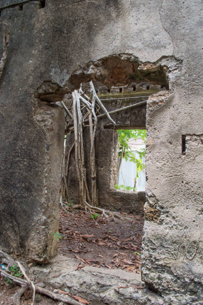 istock Haunted house door 1456155278