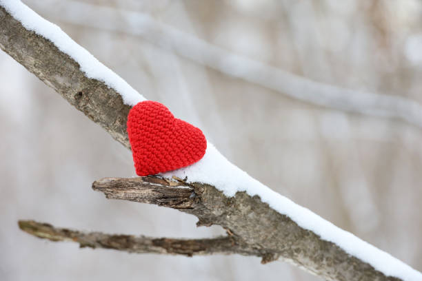 istock Valentines heart on tree branch covered with snow in winter forestday 1456155521