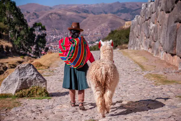 Photo of Peruvian woman wearing national clothing walking with llama near Cuzco