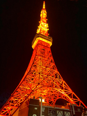 The beautiful night view of Illuminated Tokyo tower.