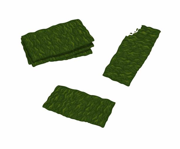 meeresalgen-snack knusprig aka nori symbol set cartoon illustration vektor - seaweed stock-grafiken, -clipart, -cartoons und -symbole