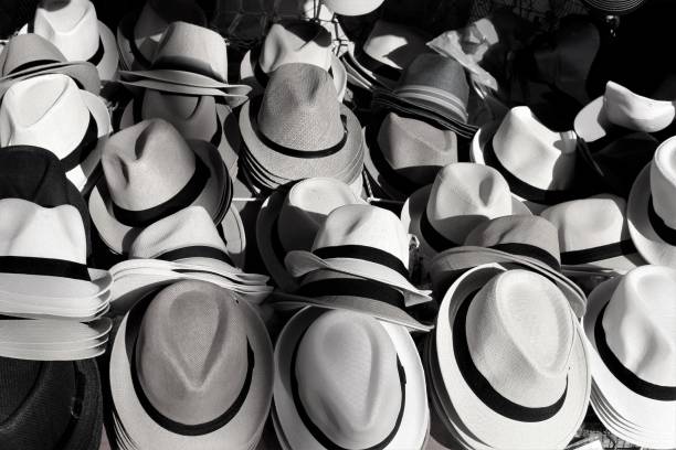 istock black and white texture of men's straw hats 1456164823