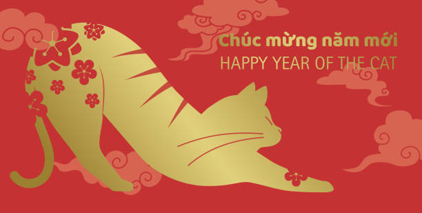illustrations, cliparts, dessins animés et icônes de chat mignon étirant le nouvel an vietnamien du chat - signe du zodiaque chinois