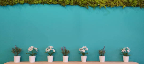 Empty room with green wall with plants and moss