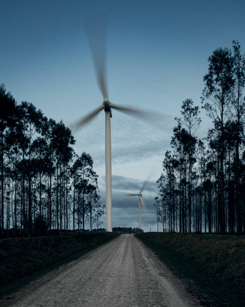 Green landscape with wind turbines in a row. Sortelha, Portugal