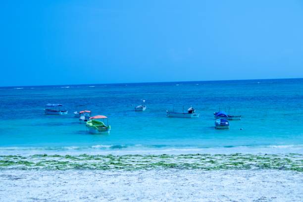 istock Zanzibar Morning 2023 1456167769