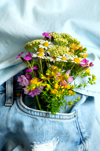 Beautiful tender flowers in front pocket of jeans outdoors, close-up, summer love romantic concept