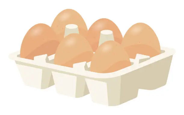 Vector illustration of Chicken eggs in a box