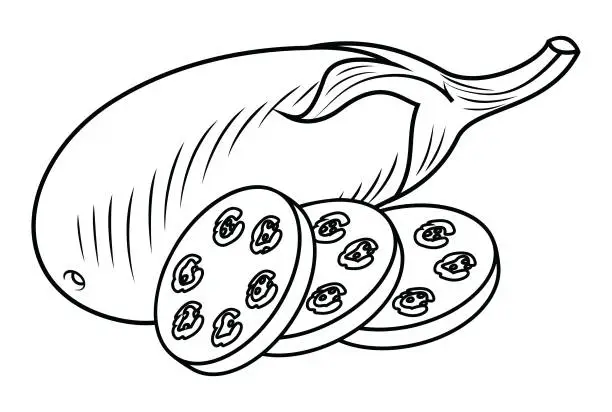 Vector illustration of Black And White Eggplant